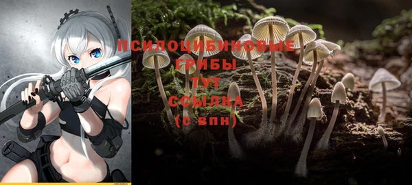 2c-b Алексеевка