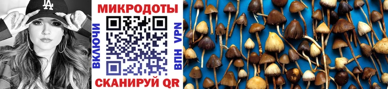 Псилоцибиновые грибы мицелий  Шумиха 