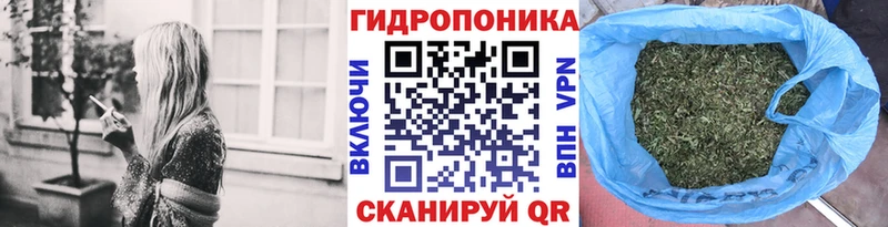 Конопля Ganja  Шумиха 